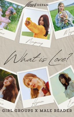 What Is Love: Girl Groups x Male Reader One-shots cover