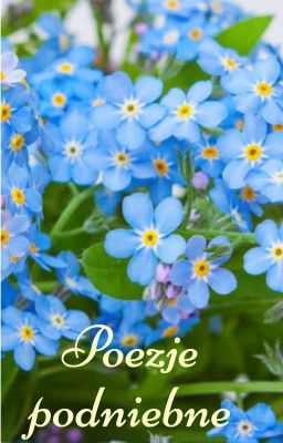 Poezje podniebne cover