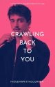 CRAWLING BACK TO YOU - Charles Leclerc [ff] by hiddenwritingcorner