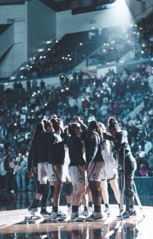 Uconn Wbb oneshots!! by abbiejammies