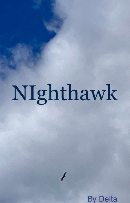 Nighthawk by DaughtersOfIre