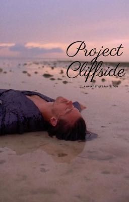 Project Cliffside  cover