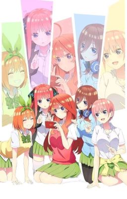 The Lonely Genius ( Quintessential Quintuplets x Male Reader  ) cover