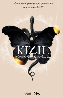 KIZIL cover