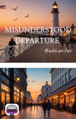 Misunderstood Departure  cover