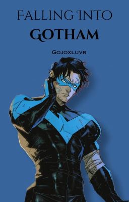 Falling into Gotham (Dick Grayson Fan Fiction) cover