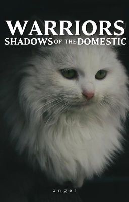 (✓) Warriors ▸ Shadows of the Domestic [1] cover