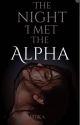 The Night I Met The Alpha by Midika