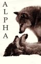 Alpha. by DianaSalvatoreW