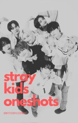 stray kids bxb oneshots  cover