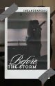 Before The Storm (A Joe Jonas FanFic) by inkandpaper02