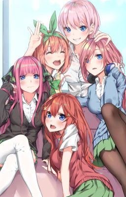 The Lazy Genius (Quintessential Quintuplets x male reader) cover