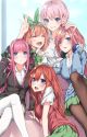 The Lazy Genius (Quintessential Quintuplets x male reader) by Creamyrose22