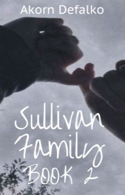 Sullivan Family: BOOK 2 cover