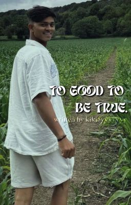 To good to be true. cover