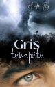 Gris tempête (tome 2) by Aude_Ry