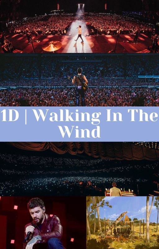 1D | Walking In The Wind by BeautifulRain2020