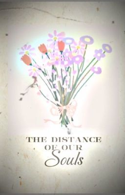 the distance of our souls cover