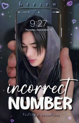 INCORRECT NUMBER ; ni-ki cover