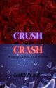 Crush or Crash by touchki2305