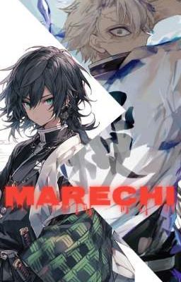 Marechi (Giyuu x Fem!Reader x Sanemi) cover