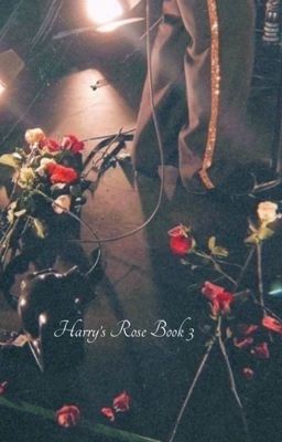 Harry's Rose Book 3 cover