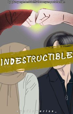 INDESTRUCTIBLE  cover