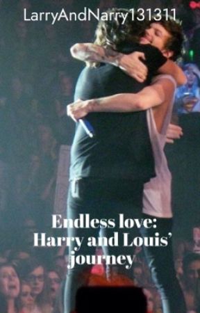 Endless Love: Harry and Louis' Journey by LarryAndNarry131311