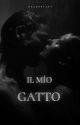 IL MIO GATTO • Texting by celestiati