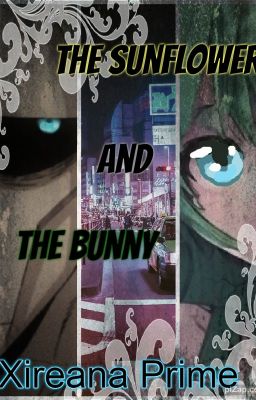 The Sunflower and the Bunny cover