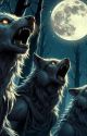 Werewolves BY Midnight by dreroticawriting