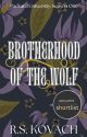 Brotherhood of the Wolf by rskovach