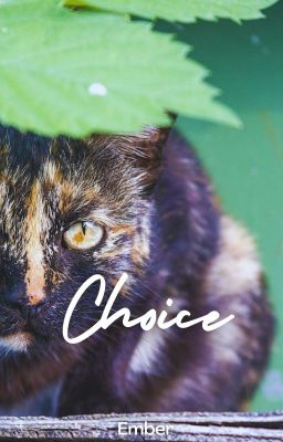 Choice - warrior cats fanfic cover