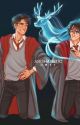 A Quest Of Faith (Pjo X Hp Crossover Fanfic)  by CindyCythe