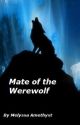 Mate of the Werewolf (boyxboy) by MelyssaAmethyst