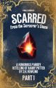 Scarred from the Sorcerer's Stone (Harry Potter Fan Fiction Retelling) by pvannucci