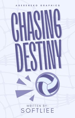 chasing destiny cover