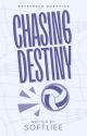 chasing destiny by softliee