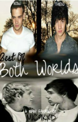 Best of Both Worlds (A Niam FanFic) cover