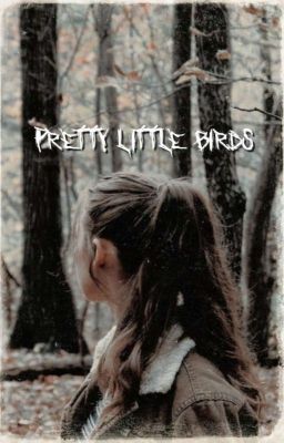 PRETTY LITTLE BIRDS ━ bellamy blake ¹ cover