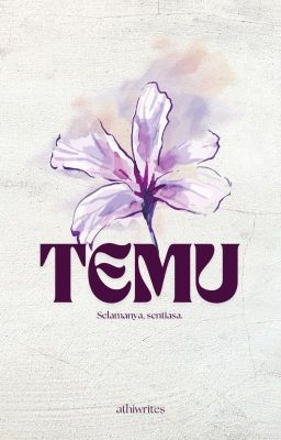 Temu cover