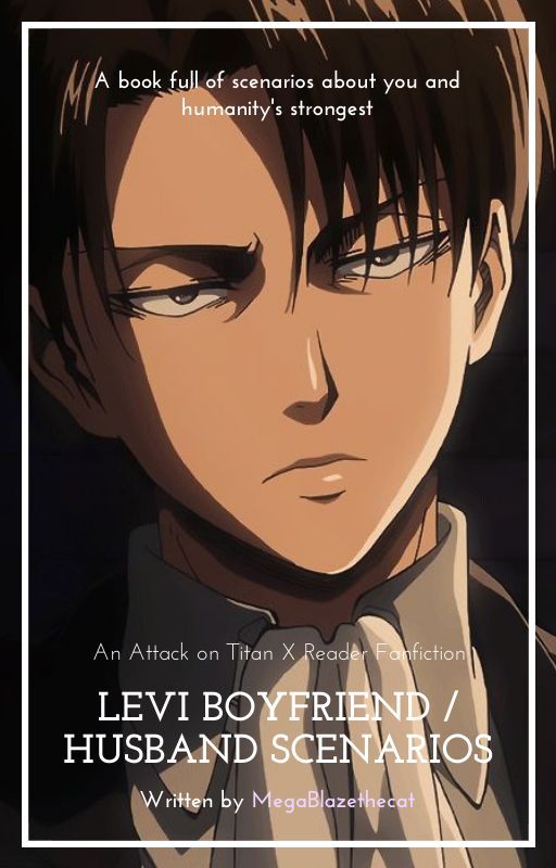 Levi Boyfriend / Husband Scenarios (Levi X Reader) by MegaBlazethecat