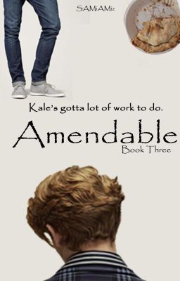 Amendable REWRITTEN (Book 3 of SOCIETY SERIES) *In Progress* cover