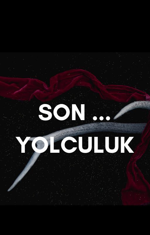 son yolculuk by venussderlerr