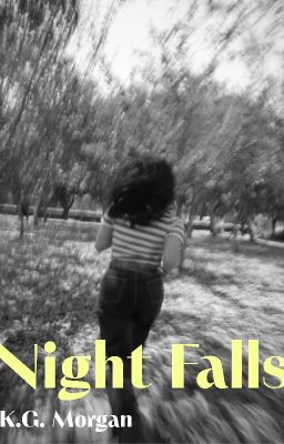 Night Falls cover