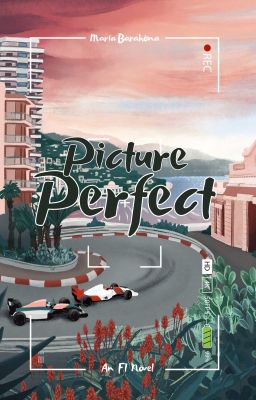 Picture Perfect cover