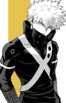 The new kid (Bakugou x Reader) cover