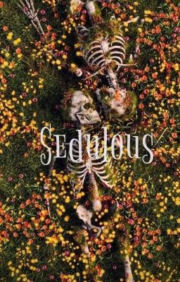 Sedulous | pjo - a. chase x fem o.c cover