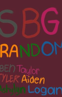 Sbg Random Sh;  cover