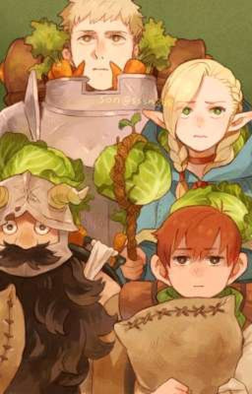 Dungeon Meshi x Male Reader by hoppybonnie